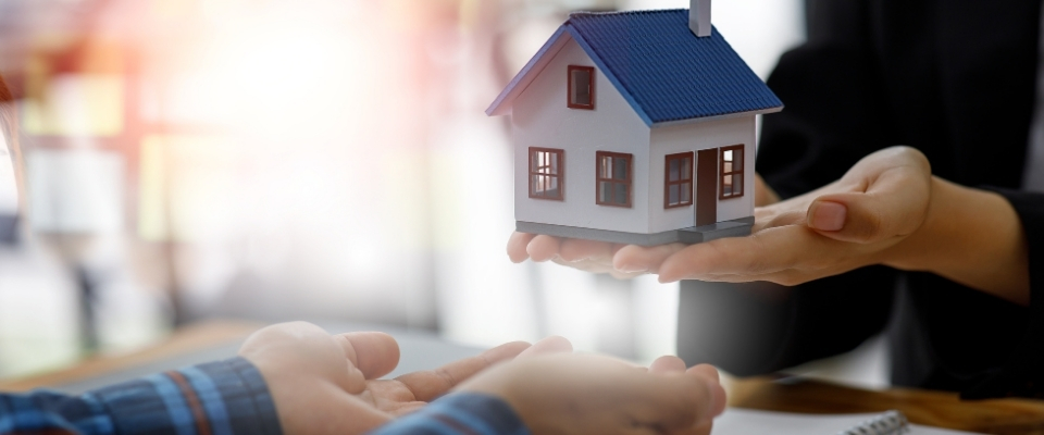 xin cấp lại giấy chứng nhận quyền sử dụng đất