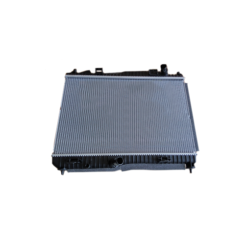 Két nước Ecosports chính hãng