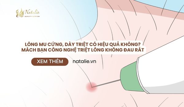 lông mu cứng dày triệt