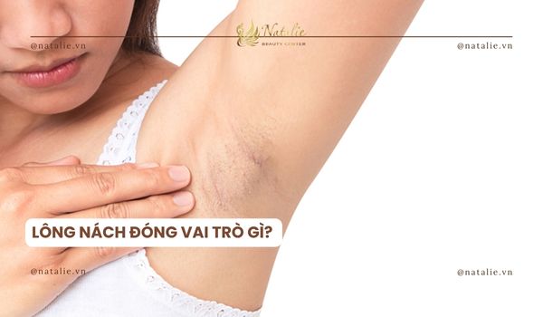 vai trò lông nách