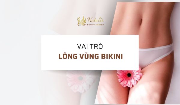 vai trò lông bikini