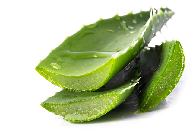 tri-viem-lo-chan-long-bang-nha-dam