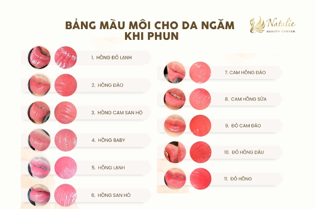 bảng màu cho da ngăm