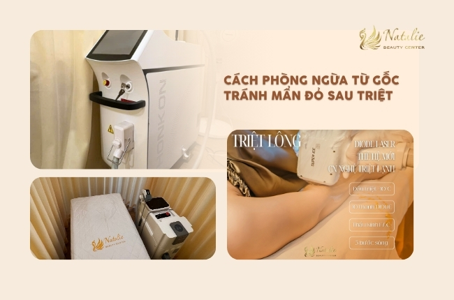 phòng ngừa từ gốc sau triệt