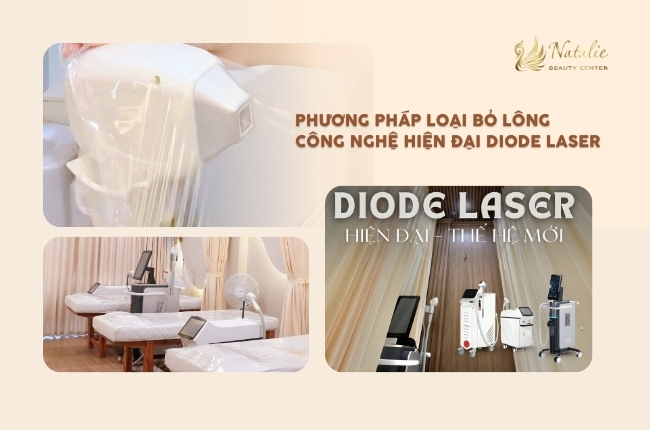 diode loại lông mọc ngược