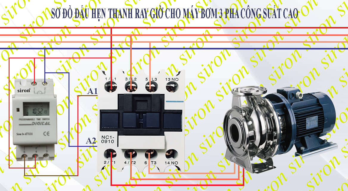 Hình ảnh bài viết