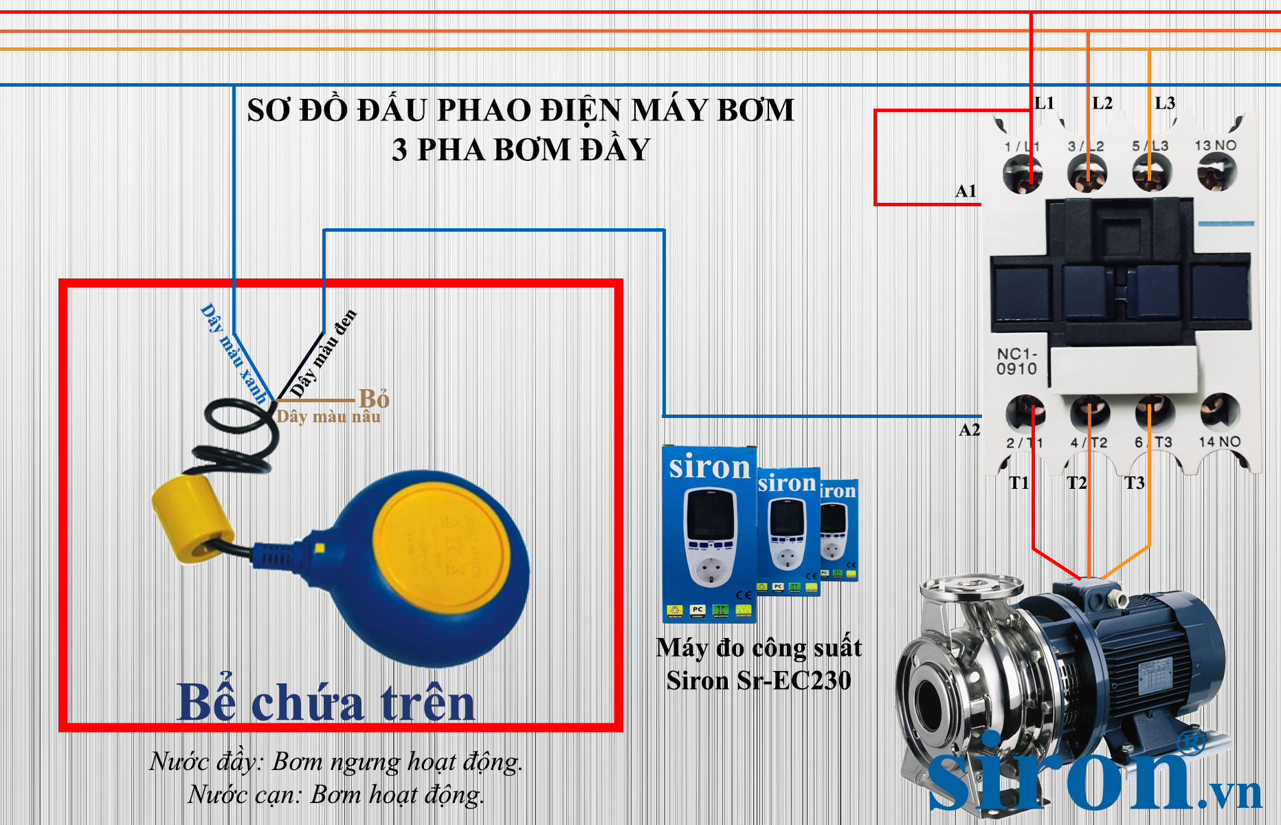 Hình ảnh bài viết