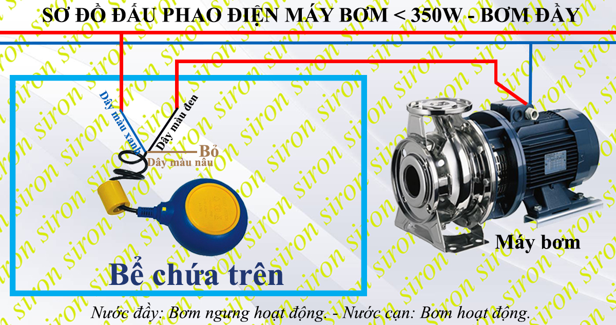 Hình ảnh bài viết