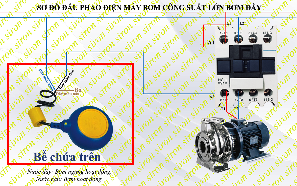 Hình ảnh bài viết