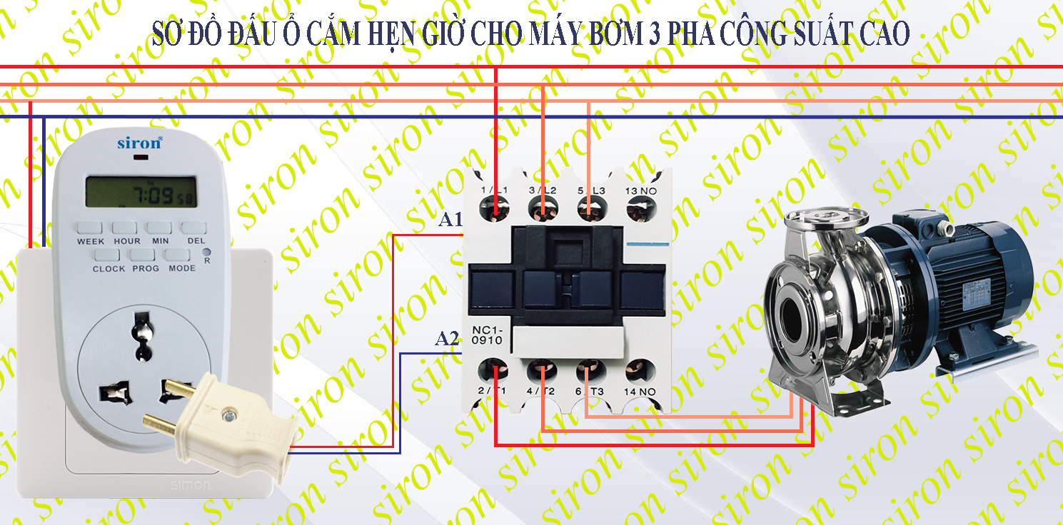 Hình ảnh bài viết