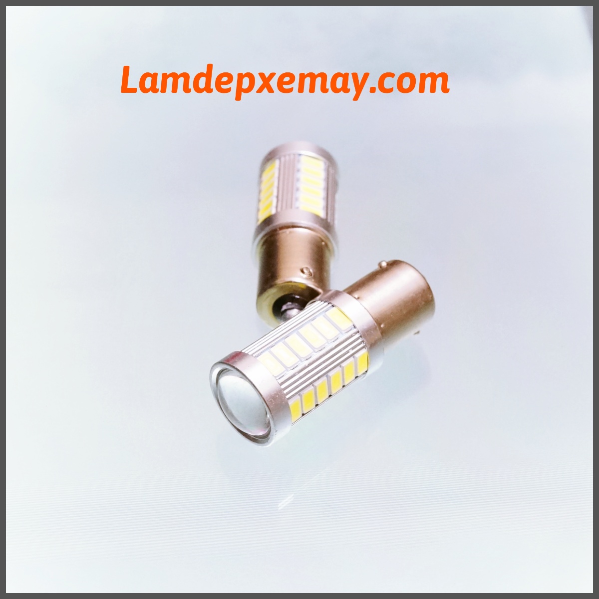 Led 1 chân 30 tim