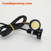 Cúc áo 2 màu trắng + vàng