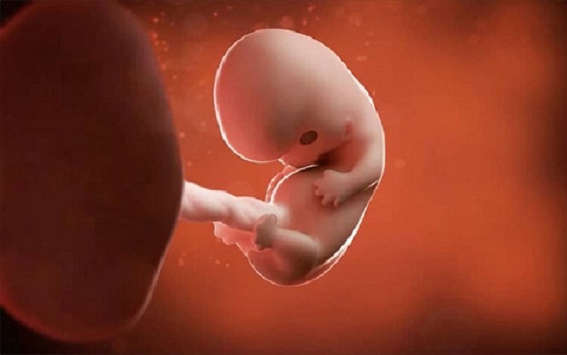 Xét nghiệm sàng lọc trước sinh 3 tháng đầu để kiểm tra tim thai