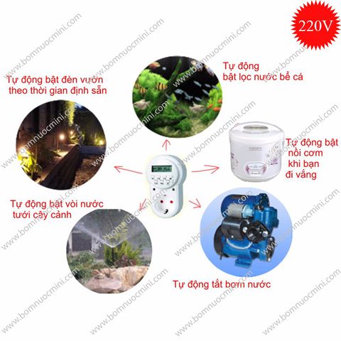 BƠM NƯỚC MINI cung cấp sỉ và lẻ các loại timer hẹn giờ, ổ cắm điện hẹn giờ,...