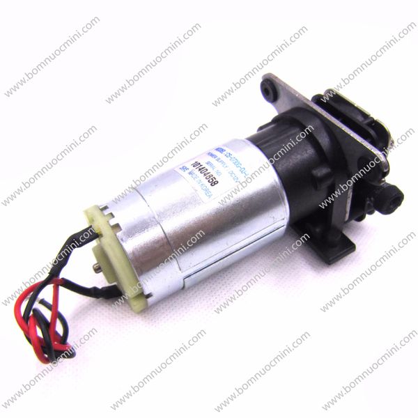 Máy Bơm Bánh Răng 12V Mini