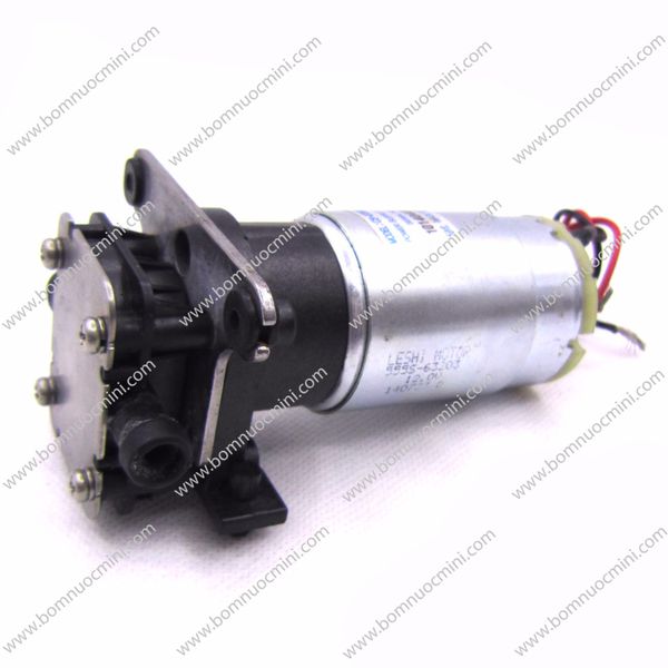 Máy Bơm Bánh Răng 12V Mini giá rẻ