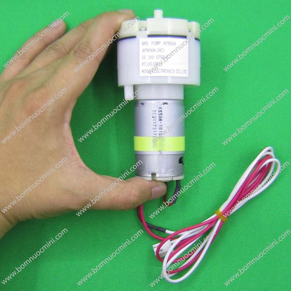 Bơm Sục Khí Hồ Cá - Bơm Chân Không 6V - 24V