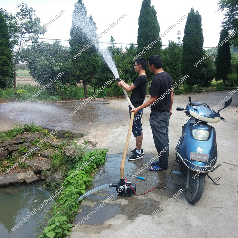 bơm nước 12V lưu lượng lớn