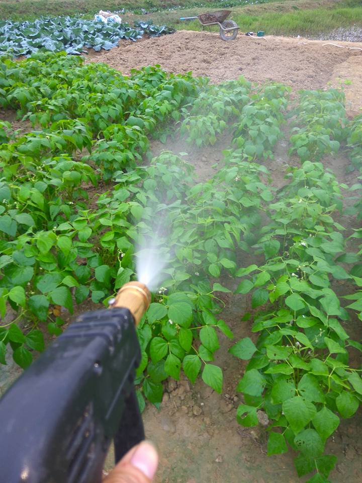 súng xịt tưới cây
