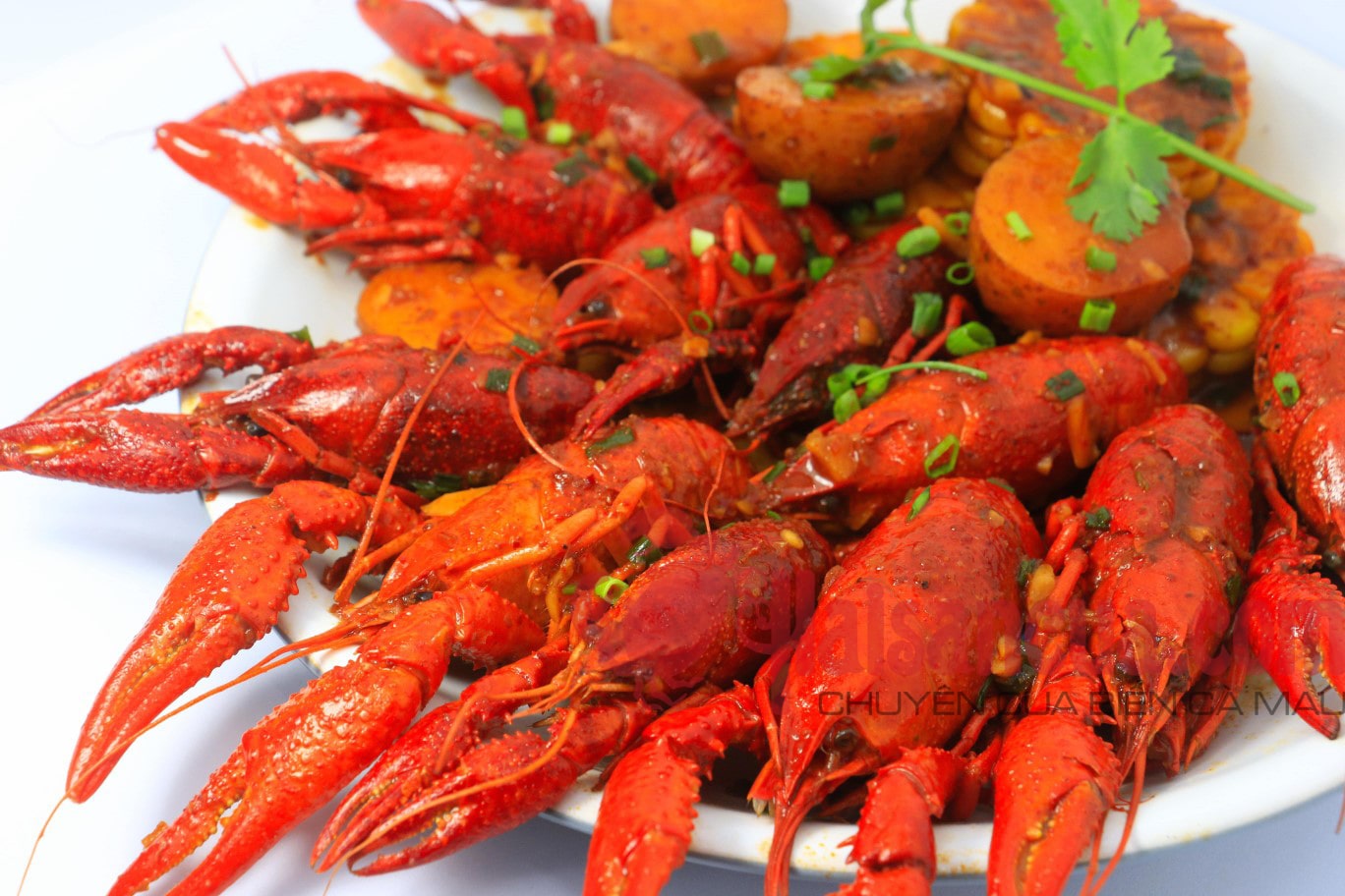 crawfish-2