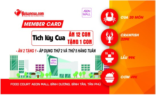 member card haisancua.com mat truoc