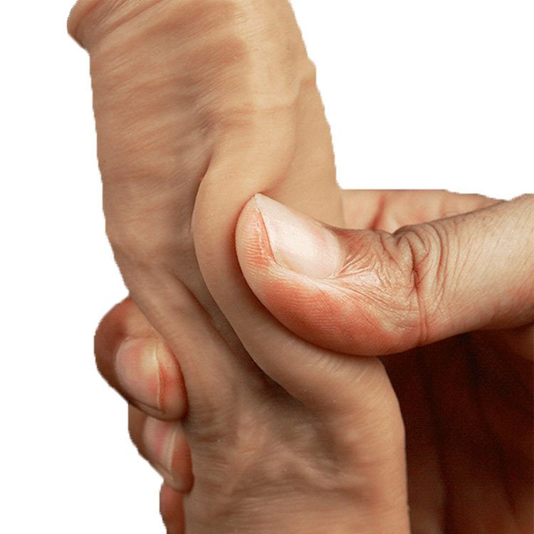 Dương vật giả gắn tường lovetoy Nature 8 inch