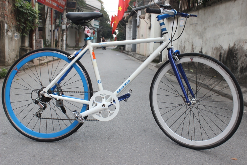 Xe đạp Nhật bãi Raychell - xe Nhật