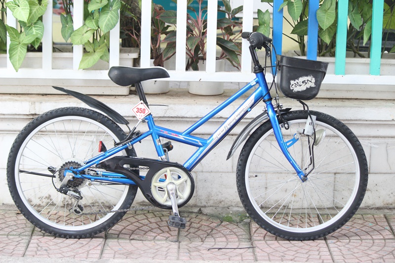 Xe đạp trẻ em Nhât bãi Willy đến từ Jappan