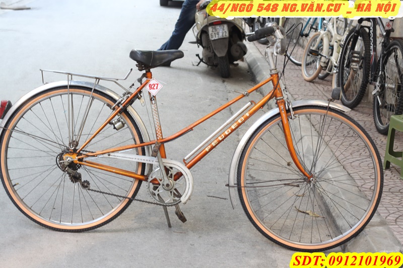 Xe đạp Peugoet đời 1976, cá vàng 9t