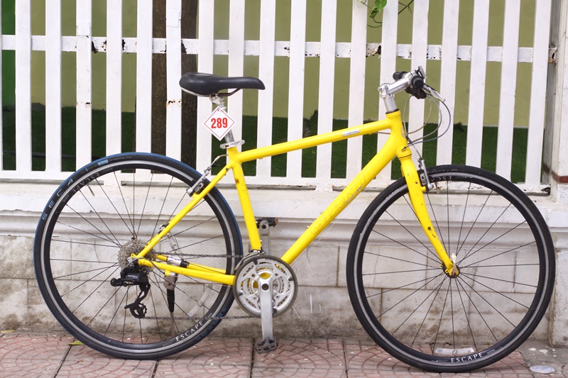 Xe Nhật bãi Giant Escape R3