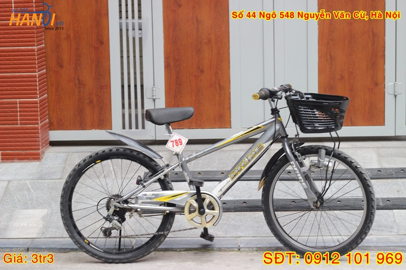 Xe đạp Trẻ em Nhật bãi Dride tới từ Nhật Bản