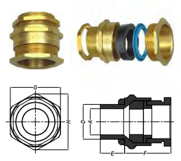 ỐC SIẾT CÁP A1/A2 (INDUSTRIAL CABLE GLAND)