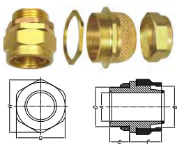 ỐC SIẾT CÁP BW (INDUSTRIAL CABLE GLAND)