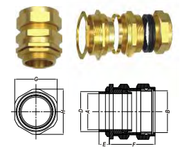 ỐC SIẾT CÁP CX (INDUSTRIAL CABLE GLANDS)