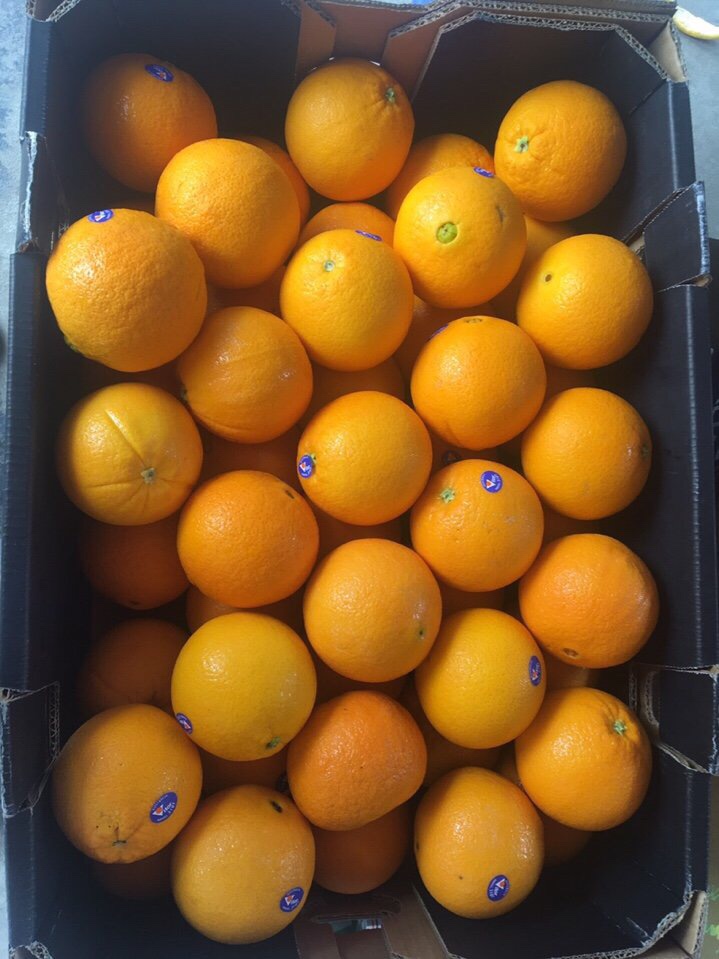 Orange Navel AU