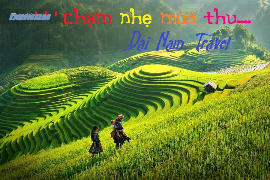 mùa thu sapa đẹp mê hồn