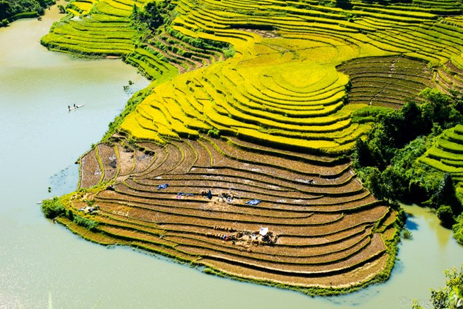 ruộng bậc thang sapa