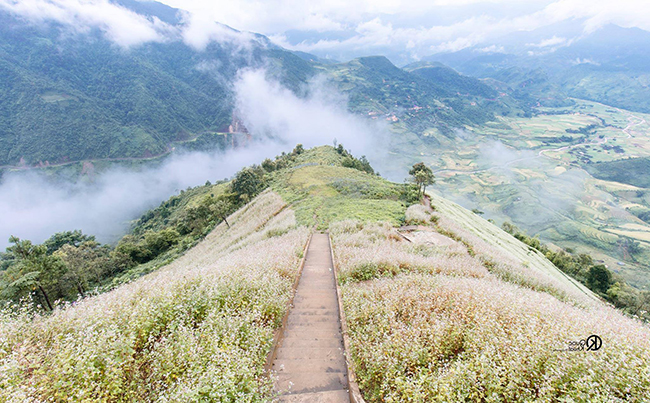 Chơi gì ở Mù Cang Chải