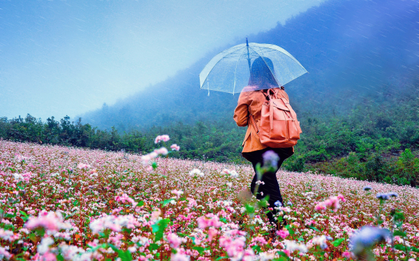 du lịch Hà Giang