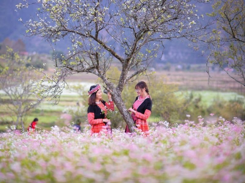 Hà Giang - vùng đất hùng vĩ và mê hoặc