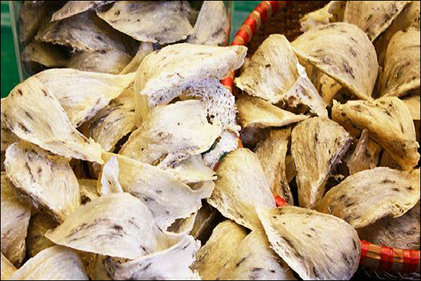 Bạch yến thô loại 2