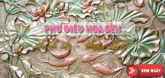 phu dieu hoa la phu dieu hoa sen trang tri Ha Noi