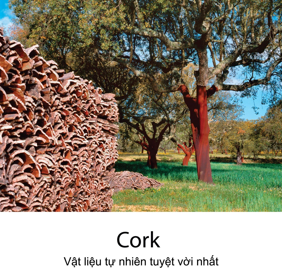 cork