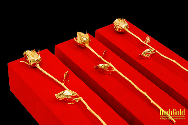 hoa hong tuoi ma vang