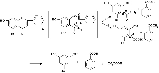 Flavonoid là một nhóm lớn trong lớp Polyphenol của phytonutrients