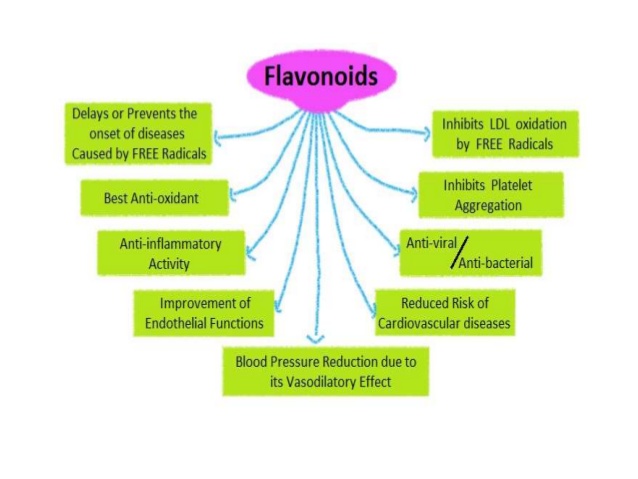 Flavonoid rất quan trọng đối với việc bảo vệ sức khỏe và phòng ngừa bệnh tật