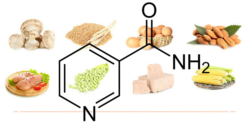 Niacinamide có rất nhiều trong thực phẩm tươi