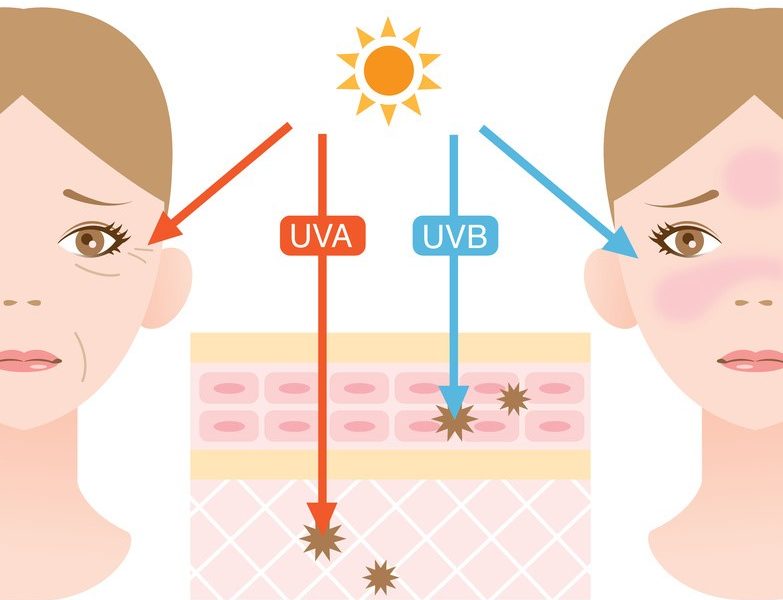 Tác dụng chính của tia UV là trên da