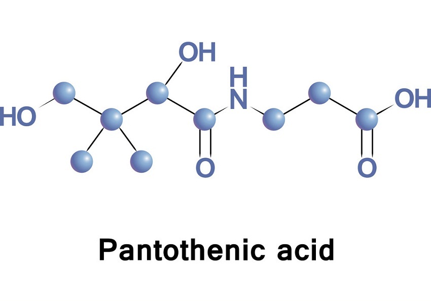 Vitamin B5 còn có tên gọi khác là acid pantothenic