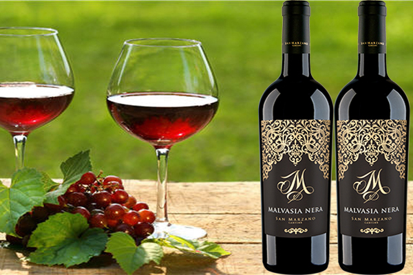 Rượu vang Ý Vindoro Negroamaro